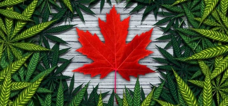 Challenges Facing Canada After One Year of Legalized Cannabis